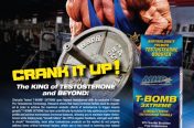 MHP - Magazine Ad - Muscle and Fitness